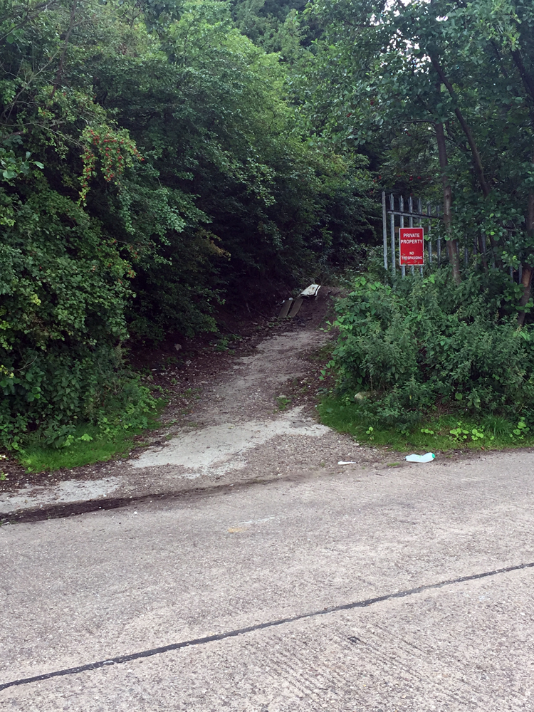 Photo of path leading to old ski slope in Cossall